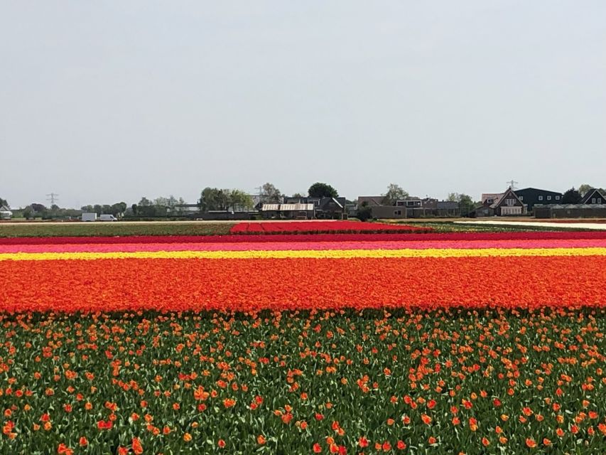 Keukenhof, Tulip Farm, Flower Fields & Windmills - Practical details that shape the day