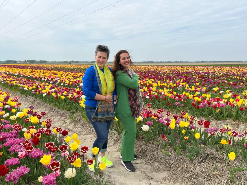 Keukenhof, Tulip Farm, Flower Fields & Windmills - Keukenhof: the main event for flower fans