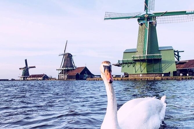 Keukenhof, Tulip Farm, Flower Fields & Zaanse Schans Windmills - Who Will Get the Most From This Day