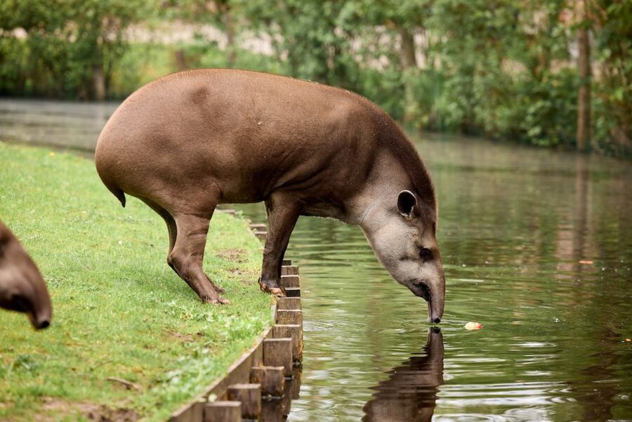 Leewarden: AquaZoo Entry Ticket - Food, parking, and the small-zoo tradeoff