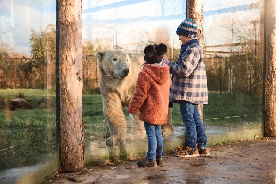 Leewarden: AquaZoo Entry Ticket - FAQ