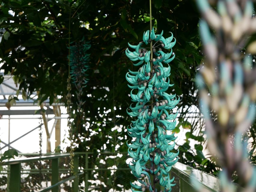 Leiden: Hortus Botanicus Entry Ticket - Key points