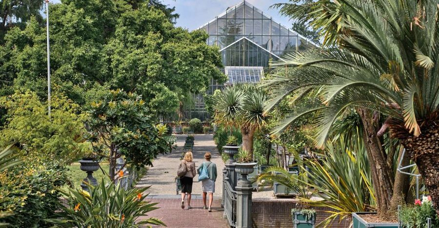 Leiden: Hortus Botanicus Entry Ticket - Why Hortus Botanicus Leiden is worth your time
