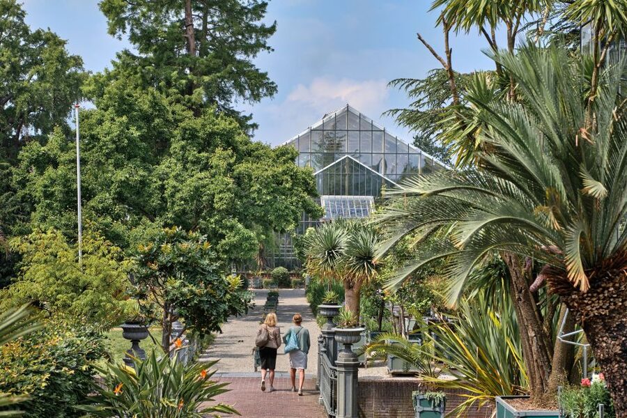 Leiden: Hortus Botanicus Entry Ticket - The Japanese Garden and plant exchange with Japan