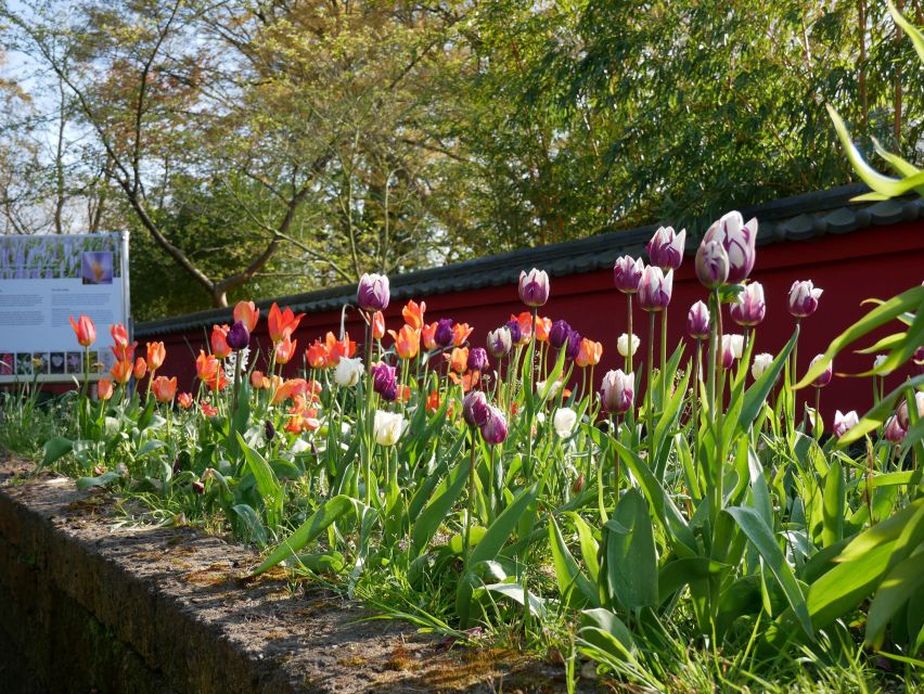 Leiden: Hortus Botanicus Entry Ticket - Seasonal plants to time your visit around