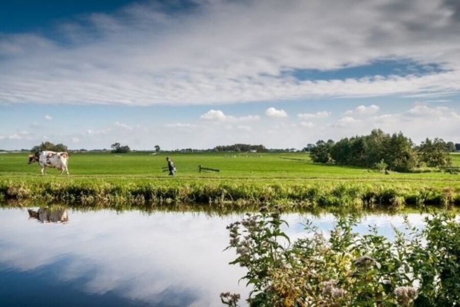 Leiden: Windmill and Countryside Cruise near Keukenhof - Why this short cruise gives you a better view of Dutch water country