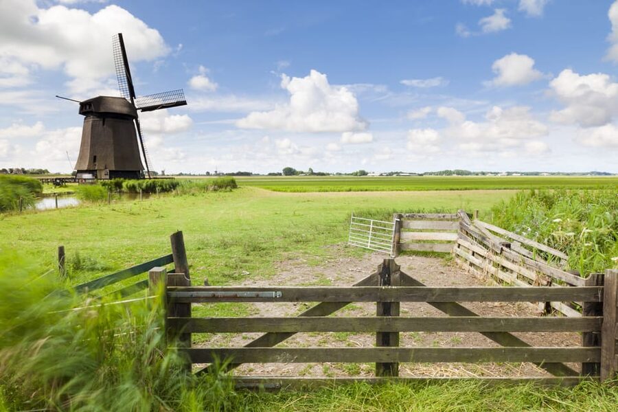 Lisse: Drive-it-Yourself Dutch Countryside GPS Audio Tour - Price, Value, and What You Still Pay For