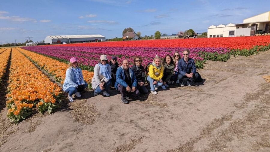 Lisse: Enjoy the Tulip Fields by Bike with a Local Guide! - Why a bike is the right way to see Lisse