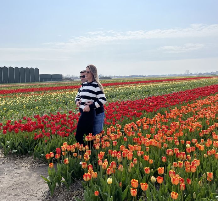 Lisse: Enjoy the Tulip Fields by Bike with a Local Guide! - Cycling past Keukenhof and Kasteel Keukenhof