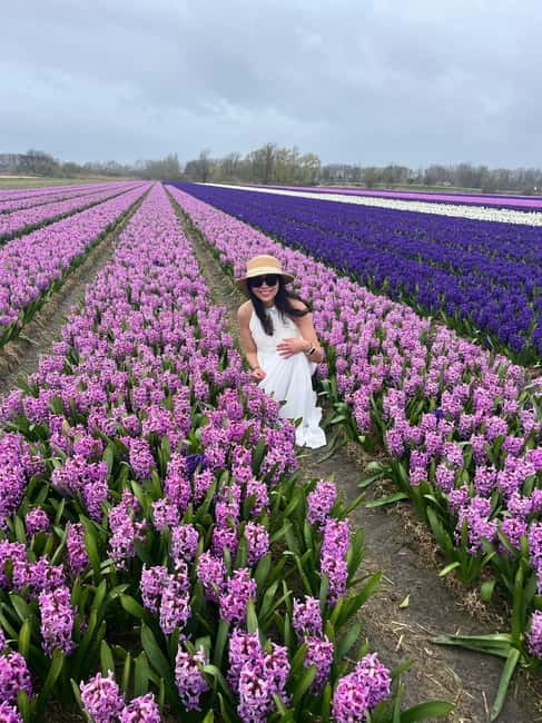 Lisse: Private Tulip Fields Tour with a Local Guide 1h Tour - The 10-minute ride into the flower region