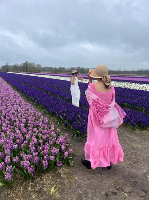 Lisse: Private Tulip Fields Tour with a Local Guide 1h Tour - Who should book this Lisse experience?