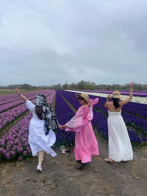 Lisse: Private Tulip Fields Tour with a Local Guide 1h Tour - Pickup from four South Holland towns