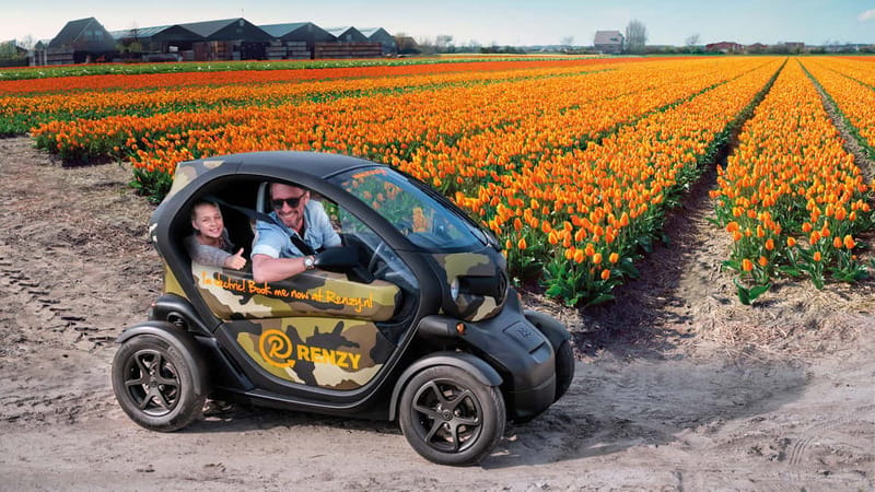 Lisse: Self-Guided Tulip Fields GPS Audio Tour - Why the Twizy is the star of this Lisse tour