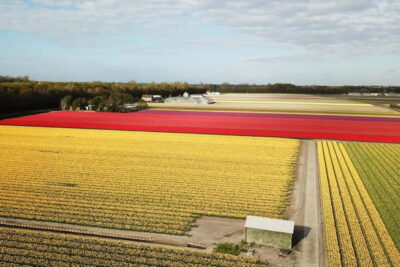 Self-Guided Tulip Fields GPS Audio Tour