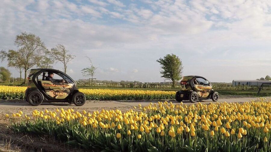 Lisse: Self-Guided Tulip Fields GPS Audio Tour - A good family option, with a small challenge for children