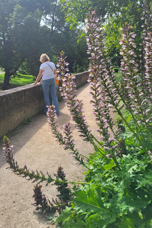 Maastricht Hidden Gems Tour Uncover the Unexpected - Fons Bollen’s guiding style