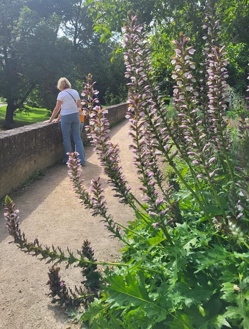 Maastricht Hidden Gems Tour Uncover the Unexpected - Start at Maastricht-Centrum and follow the Roman crossing