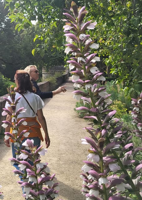 Maastricht Hidden Gems Tour Uncover the Unexpected - Compare the Basilica of Our Lady with Maastricht’s medieval center