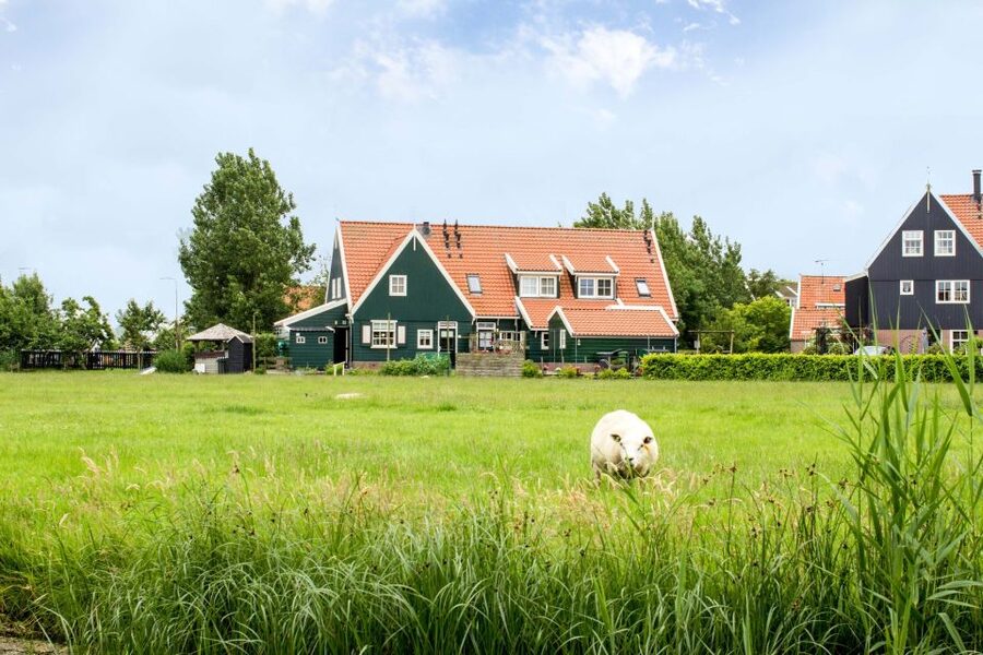 Marken, Volendam and Edam: Private Full-Day Tour - The $340 price: where the value comes from
