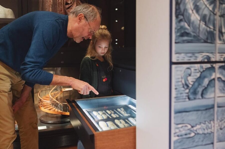 Middelburg: Zeeuws Museum Entry Ticket - Accessibility, bags, and practical limits