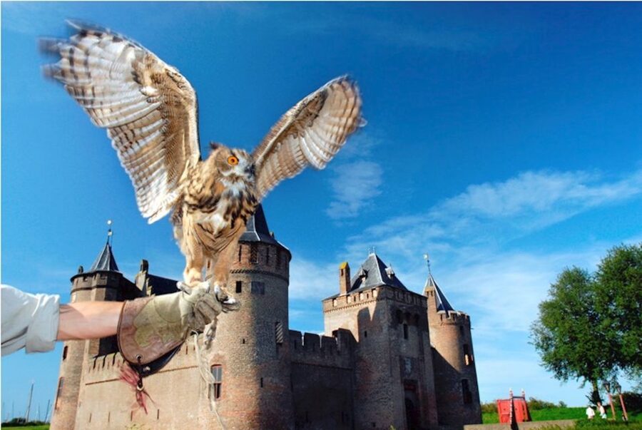 Muiden: Entry Ticket to Muiderslot Castle - Seeing the Middle Ages inside the castle
