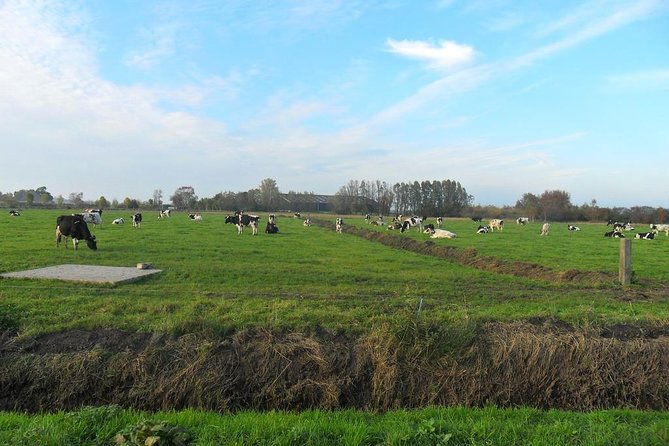 Off the Beaten Paths Dutch Landscape Private Tour 1/2 day Jaguar - What the private Jaguar adds