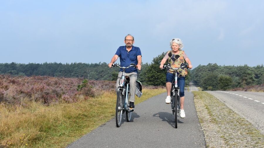 Otterlo: De Hoge Veluwe National Park Entry & E-bike - Riding across forest and open heath
