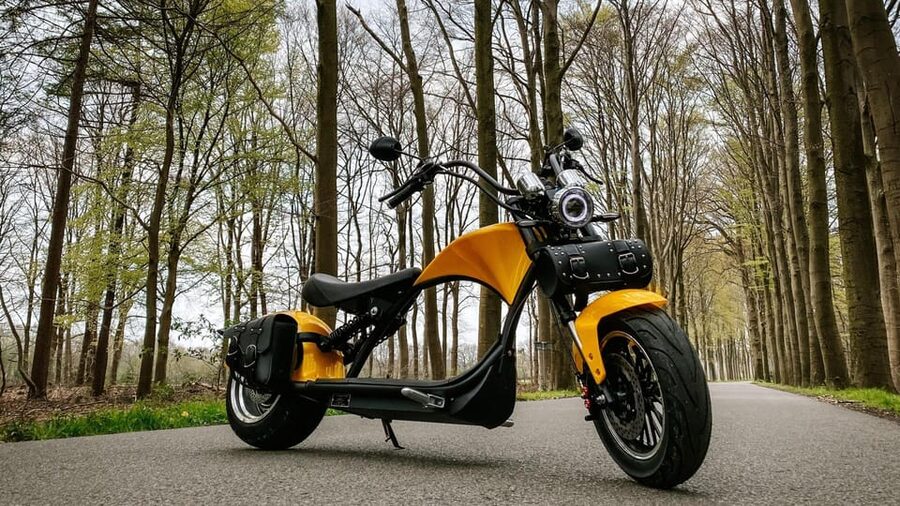 Otterlo: E-chopper rental - Following the route through forests and heathlands