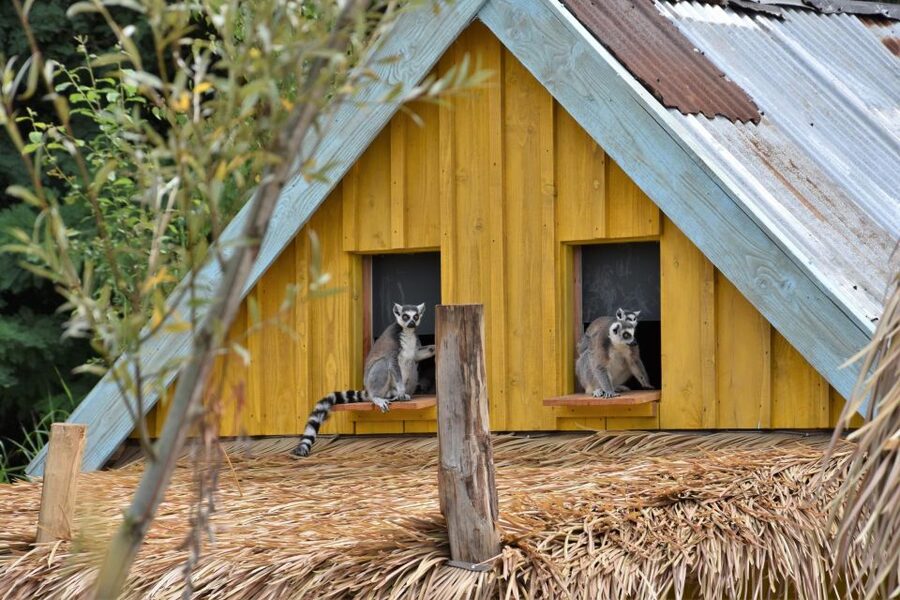 Overloon: ZooParc Entrance Ticket - Cafes and playgrounds make the full day workable