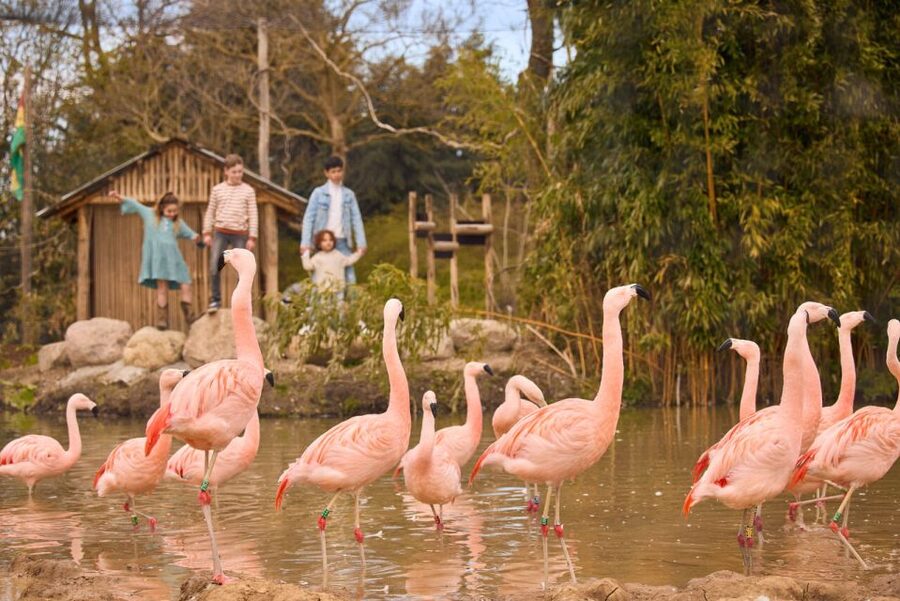 Overloon: ZooParc Entrance Ticket - A world tour that begins near Overloon