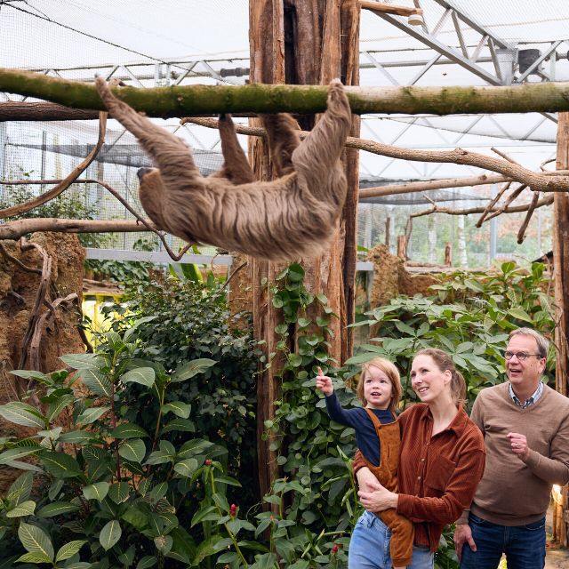 Overloon: ZooParc Entrance Ticket - Jangalee brings in the big cats