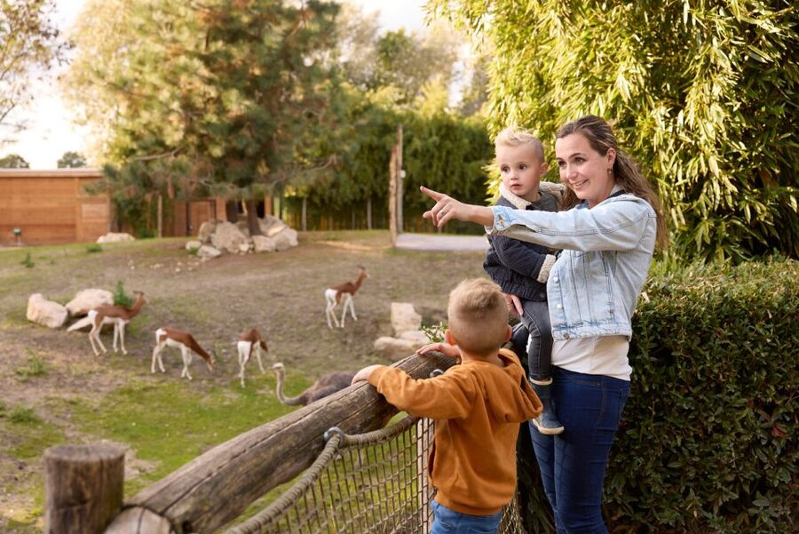 Overloon: ZooParc Entrance Ticket - Itampolo offers the most playful encounters