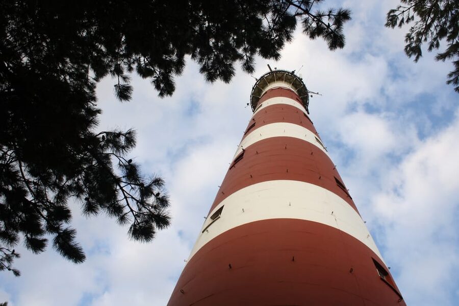 Pieterburen: Wadden Sea Mudflats Guided Walking Tour - What 8 kilometers feels like on tidal ground