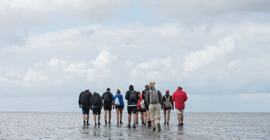 Pieterburen: Wadden Sea Mudflats Guided Walking Tour - Who should book this Wadden Sea walk?
