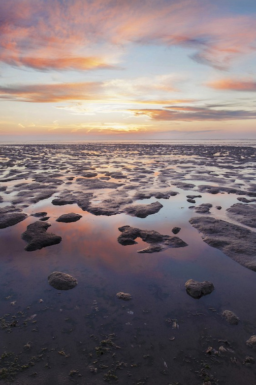 Pieterburen: Wadden Sea Mudflats Guided Walking Tour - Noordpolder and Zijltocht canals