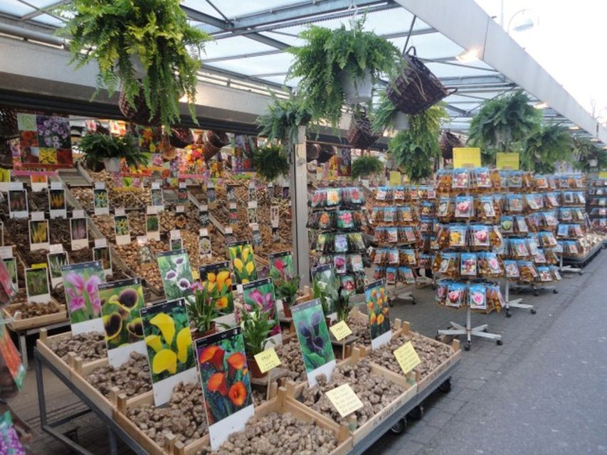 Private Amsterdam Walking Tour - Key points at a glance