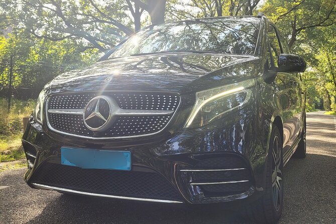 Private Arrival Transfer: Schiphol Airport Amsterdam - Why $87 Can Be Good Value