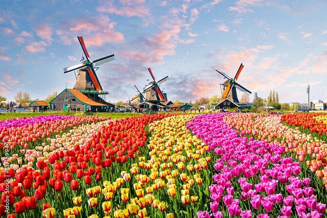 Private Countryside Tour From Amsterdam - Four countryside stops in one private day