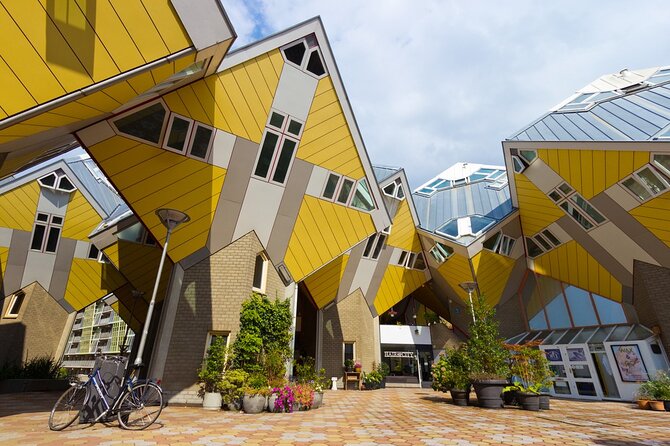 Private Day Tour: Rotterdam and The Hague. English or Spanish - Language and guide quality