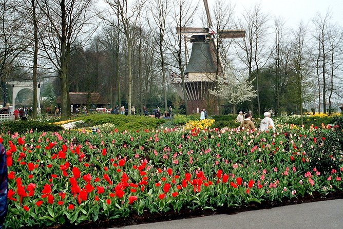 Private Day Trip from Amsterdam to Keukenhof with Entrance Tickets - Leaving your hotel for Lisse