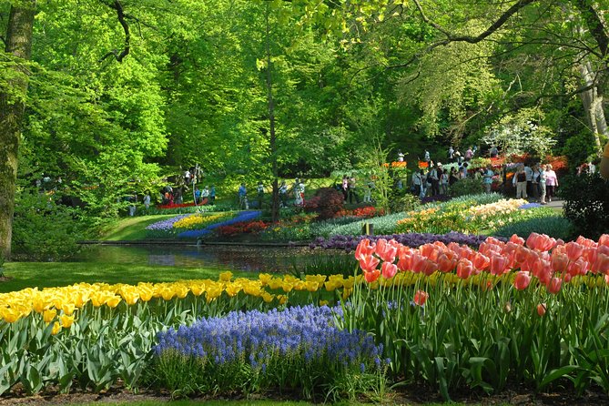 Private Day Trip from Amsterdam to Keukenhof with Entrance Tickets - The guide can shape the whole day