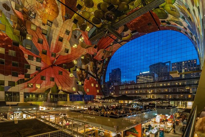 Private Day Trip from Amsterdam to Rotterdam and the Hague - What the private guide adds