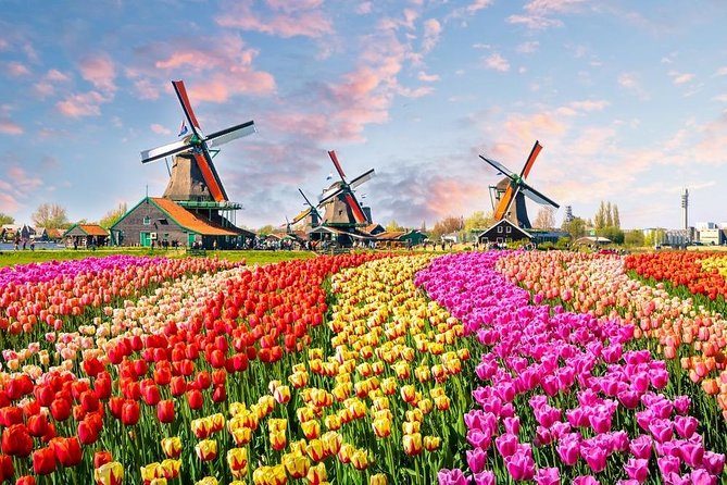 Private Day Trip to Zaanse Schans, Volendam & Marken from Amsterdam - Why this private Amsterdam countryside trip works