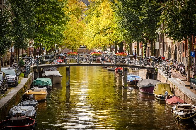 Private departure transfer from Amsterdam to Schiphol Airport (AMS) - Clean cars, quiet rides, and useful small comforts