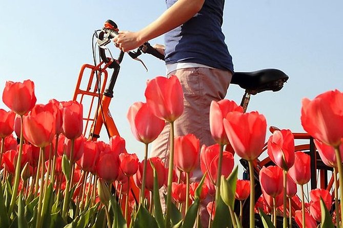 Private Guided Full-Day Customizable Tour of Holland from Amsterdam - Windmills and the Dutch water story