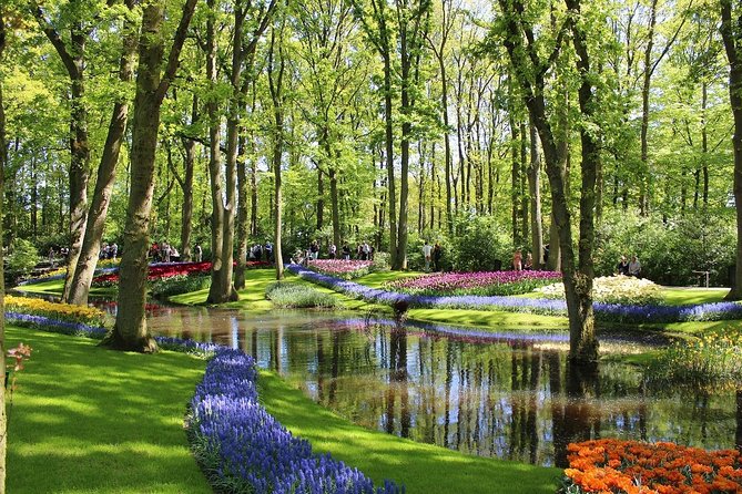 Private Half-Day Trip From Amsterdam to The Tulip Fields in Keukenhof - Meeting Your English-Speaking Driver in Amsterdam