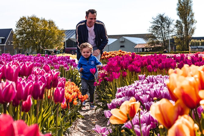 Private Keukenhof Gardens and Tulip Fields Tour from Amsterdam - What the day feels like in practice