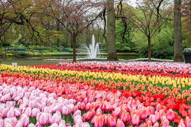 Private Keukenhof Park and Tulip Fields Tour (Skip-The-Line) - The Bollenstreek flower fields and photo stops