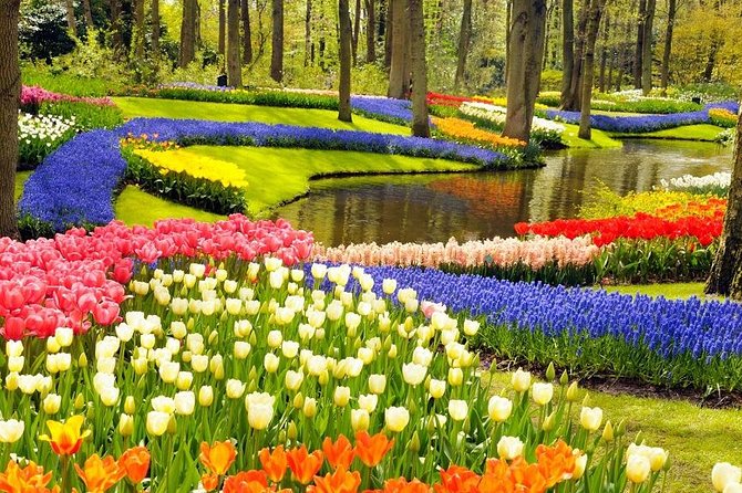Private Tour to the Keukenhof and Tulip Fields - Tulip fields beyond the garden gates