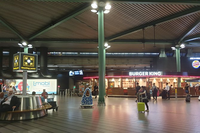 Private Transfer from Schiphol Airport to Rotterdam - Flight tracking and delayed arrivals